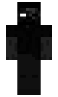 Palion minecraft skin