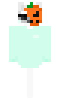 82482d3b024cfc minecraft skin