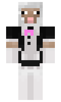8263451f7888df minecraft skin