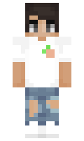cofe minecraft skin