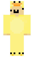 8294325c980968 minecraft skin