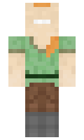 UGC minecraft skin