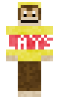 829eefddbf5be5 minecraft skin