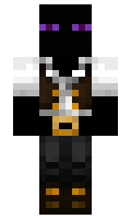 9547 minecraft skin