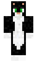 82f463f1a293fa minecraft skin