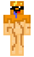 HoodCheetah minecraft skin