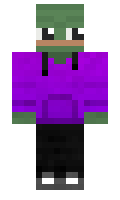 Passer minecraft skin