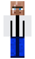 833515b113a10e minecraft skin