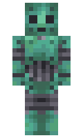 snelwegmaker minecraft skin