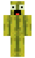 watermelon minecraft skin