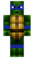 Models minecraft skin