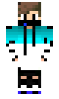 loregat0105 minecraft skin