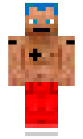 tortiks minecraft skin