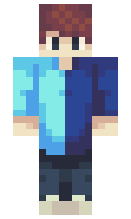 83bd698ff7121f minecraft skin