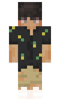 minichar minecraft skin