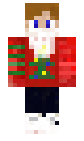 BercuD minecraft skin