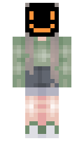 8434575423795b minecraft skin