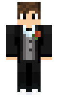viviagri28 minecraft skin