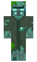 84438554b7a356 minecraft skin