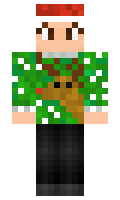 846320a64de1b4 minecraft skin