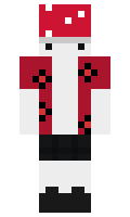 8473891da74808 minecraft skin