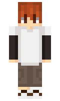 zjebb minecraft skin