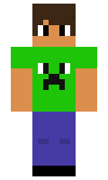 848331ddce1e9d minecraft skin