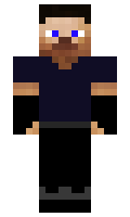 Den41k minecraft skin