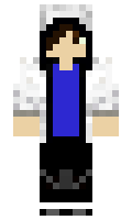 Blockutis minecraft skin