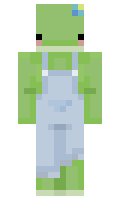 frogb minecraft skin