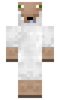 Tropicolors minecraft skin