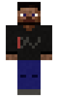 8503455f1f9c22 minecraft skin