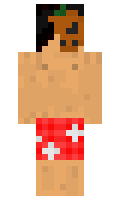 850dccfa91326d minecraft skin