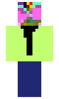 NaRkotik minecraft skin