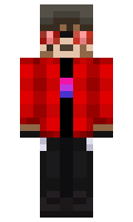 8512237d73592d minecraft skin