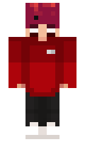 zzvz minecraft skin