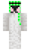 851fb78c6f5844 minecraft skin