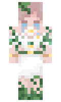 codq minecraft skin
