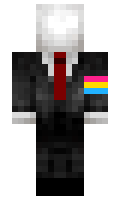 annoyingslendy minecraft skin