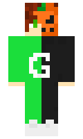 85ead7eb6a0306 minecraft skin