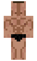 Yourtle minecraft skin