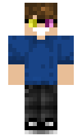 860e14bd4abfab minecraft skin