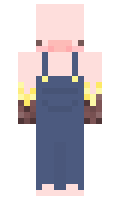 DaniConPapas minecraft skin