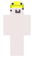 Amirsasa minecraft skin