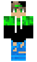 862d1a6398f5ea minecraft skin