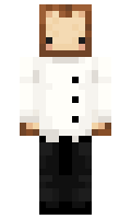 ItsToastCraft minecraft skin