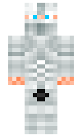 baha minecraft skin