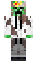 867735a9f20e89 minecraft skin