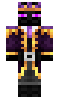 ace11 minecraft skin
