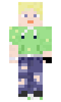 Wolfindernacht minecraft skin